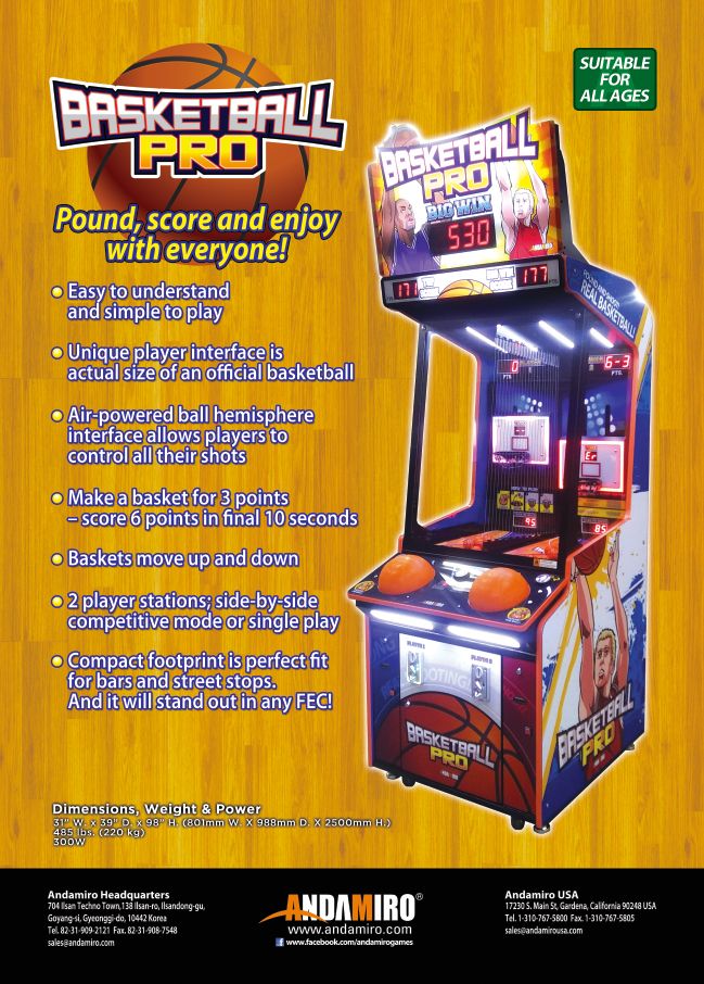 Basketball Pro 2 Player