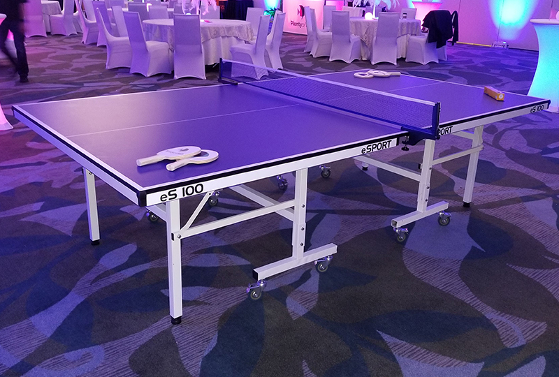 Ping-Pong Table
